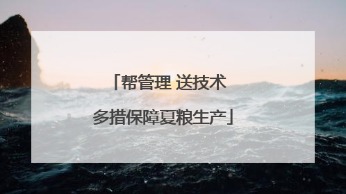 帮管理 送技术 多措保障夏粮生产