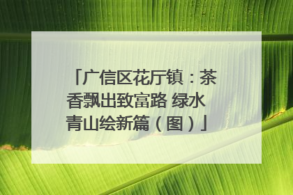 广信区花厅镇：茶香飘出致富路 绿水青山绘新篇（图）