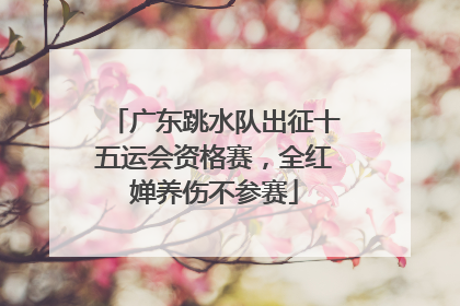 广东跳水队出征十五运会资格赛，全红婵养伤不参赛