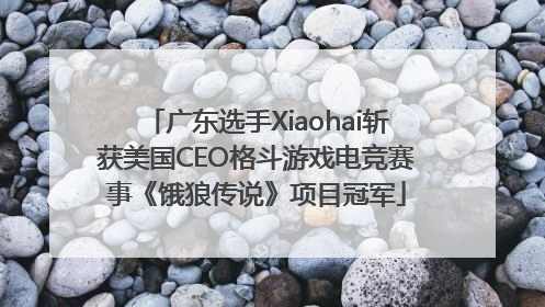广东选手Xiaohai斩获美国CEO格斗游戏电竞赛事《饿狼传说》项目冠军