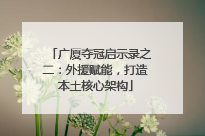 广厦夺冠启示录之二：外援赋能，打造本土核心架构