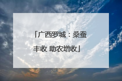 广西罗城：桑蚕丰收 助农增收