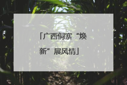 广西侗寨“焕新”展风情
