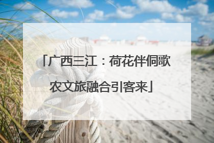 广西三江：荷花伴侗歌 农文旅融合引客来