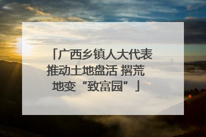 广西乡镇人大代表推动土地盘活 撂荒地变“致富园”