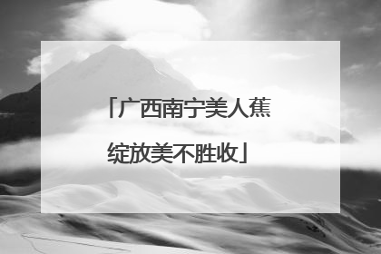 广西南宁美人蕉绽放美不胜收
