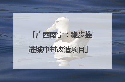 广西南宁：稳步推进城中村改造项目