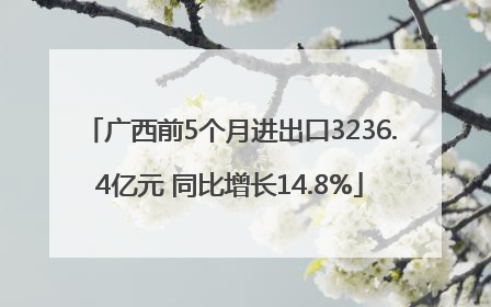 广西前5个月进出口3236.4亿元 同比增长14.8%