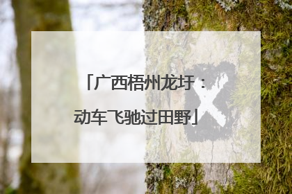 广西梧州龙圩：动车飞驰过田野