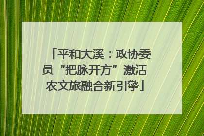平和大溪：政协委员“把脉开方”激活农文旅融合新引擎