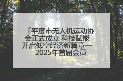 平度市无人机运动协会正式成立 科技赋能开启低空经济新篇章——2025年首届会员大会暨无人机应用发展论坛成功举办