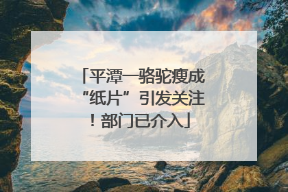 平潭一骆驼瘦成“纸片”引发关注！部门已介入