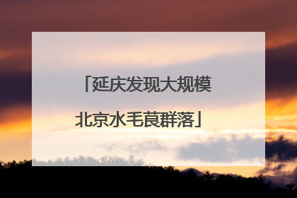 延庆发现大规模北京水毛茛群落
