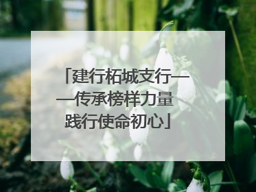建行柘城支行——传承榜样力量 践行使命初心