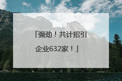 强劲！共计招引企业632家！