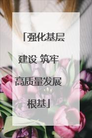 强化基层建设 筑牢高质量发展根基