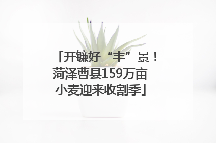 开镰好“丰”景！菏泽曹县159万亩小麦迎来收割季
