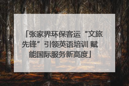 张家界环保客运“文旅先锋”引领英语培训 赋能国际服务新高度