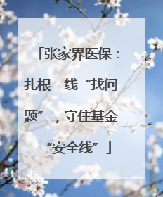张家界医保：扎根一线“找问题”，守住基金“安全线”
