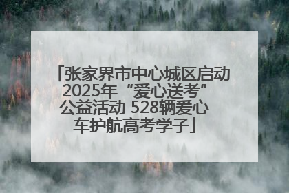 张家界市中心城区启动2025年“爱心送考”公益活动 528辆爱心车护航高考学子