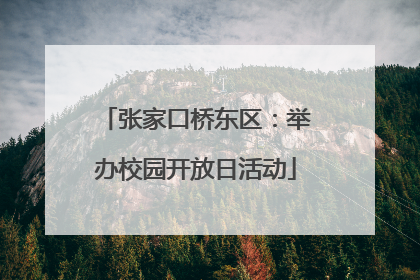 张家口桥东区：举办校园开放日活动