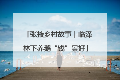 张掖乡村故事｜临泽林下养鹅“钱”景好