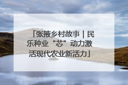 张掖乡村故事｜民乐种业“芯”动力激活现代农业新活力