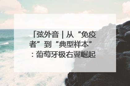 弦外音｜从“免疫者”到“典型样本”：葡萄牙极右翼崛起背后的欧洲困局