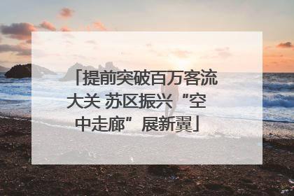 提前突破百万客流大关 苏区振兴“空中走廊”展新翼
