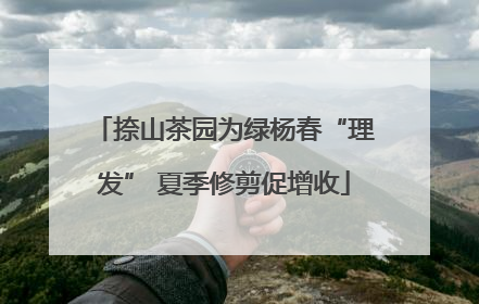 捺山茶园为绿杨春“理发” 夏季修剪促增收