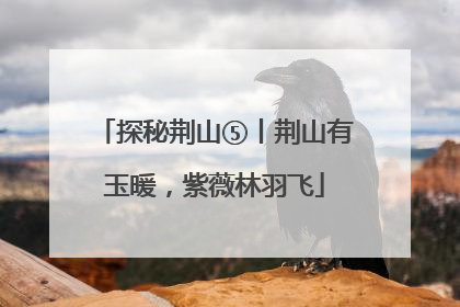 探秘荆山⑤丨荆山有玉暖，紫薇林羽飞