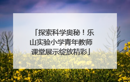 探索科学奥秘！乐山实验小学青年教师课堂展示绽放精彩