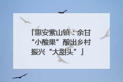 惠安紫山镇：余甘“小酸果”酿出乡村振兴“大甜头”