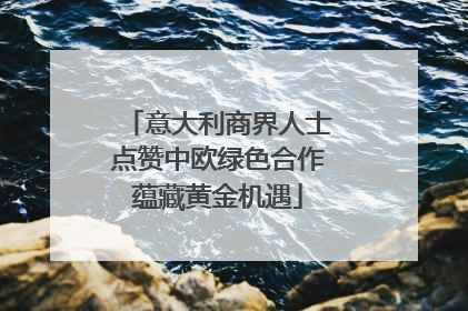 意大利商界人士点赞中欧绿色合作蕴藏黄金机遇