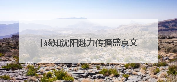 感知沈阳魅力传播盛京文化——沈阳医学院留学生沉浸式体验沈阳文旅特色