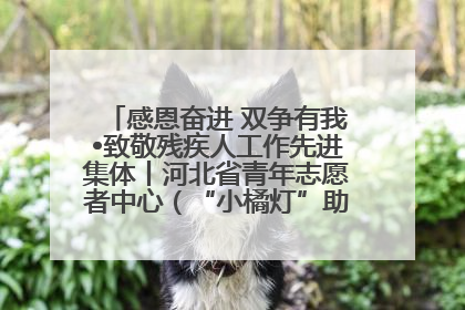感恩奋进 双争有我•致敬残疾人工作先进集体丨河北省青年志愿者中心（“小橘灯”助残接力计划实施团队）：用温暖陪伴，守护特殊孩子成长