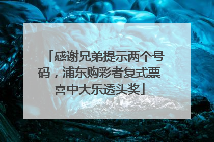 感谢兄弟提示两个号码，浦东购彩者复式票喜中大乐透头奖