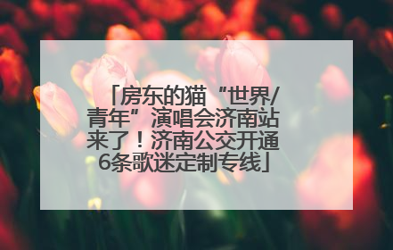 房东的猫“世界/青年”演唱会济南站来了！济南公交开通6条歌迷定制专线