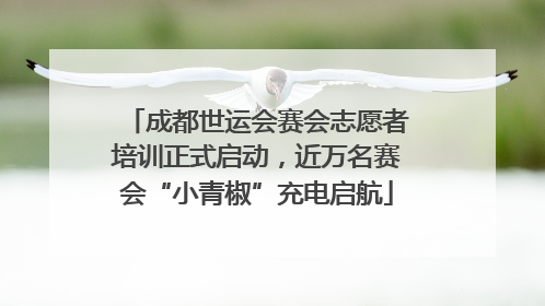 成都世运会赛会志愿者培训正式启动，近万名赛会“小青椒”充电启航