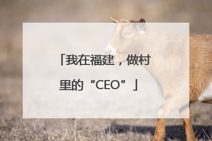 我在福建，做村里的“CEO”