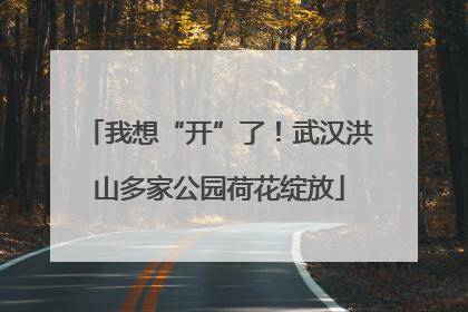 我想“开”了！武汉洪山多家公园荷花绽放