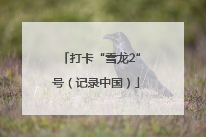 打卡“雪龙2”号（记录中国）