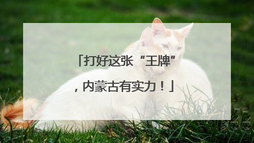 打好这张“王牌”，内蒙古有实力！