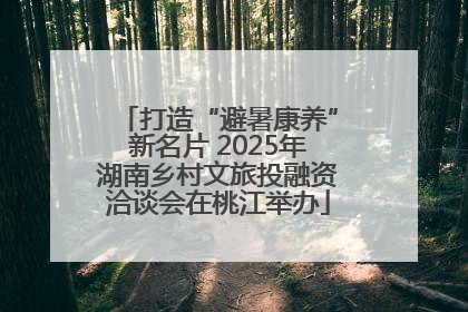 打造“避暑康养”新名片 2025年湖南乡村文旅投融资洽谈会在桃江举办