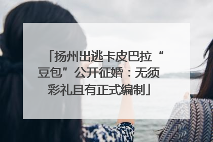 扬州出逃卡皮巴拉“豆包”公开征婚：无须彩礼且有正式编制