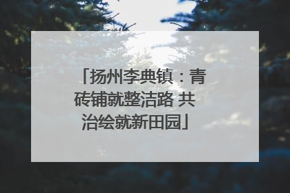 扬州李典镇：青砖铺就整洁路 共治绘就新田园