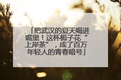 把武汉的夏天喝进嘴里！这杯栀子花“上岸茶”，成了百万年轻人的青春暗号