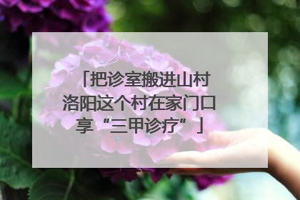 把诊室搬进山村 洛阳这个村在家门口享“三甲诊疗”