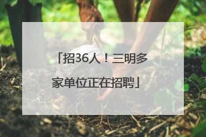 招36人！三明多家单位正在招聘
