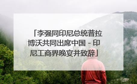 李强同印尼总统普拉博沃共同出席中国－印尼工商界晚宴并致辞